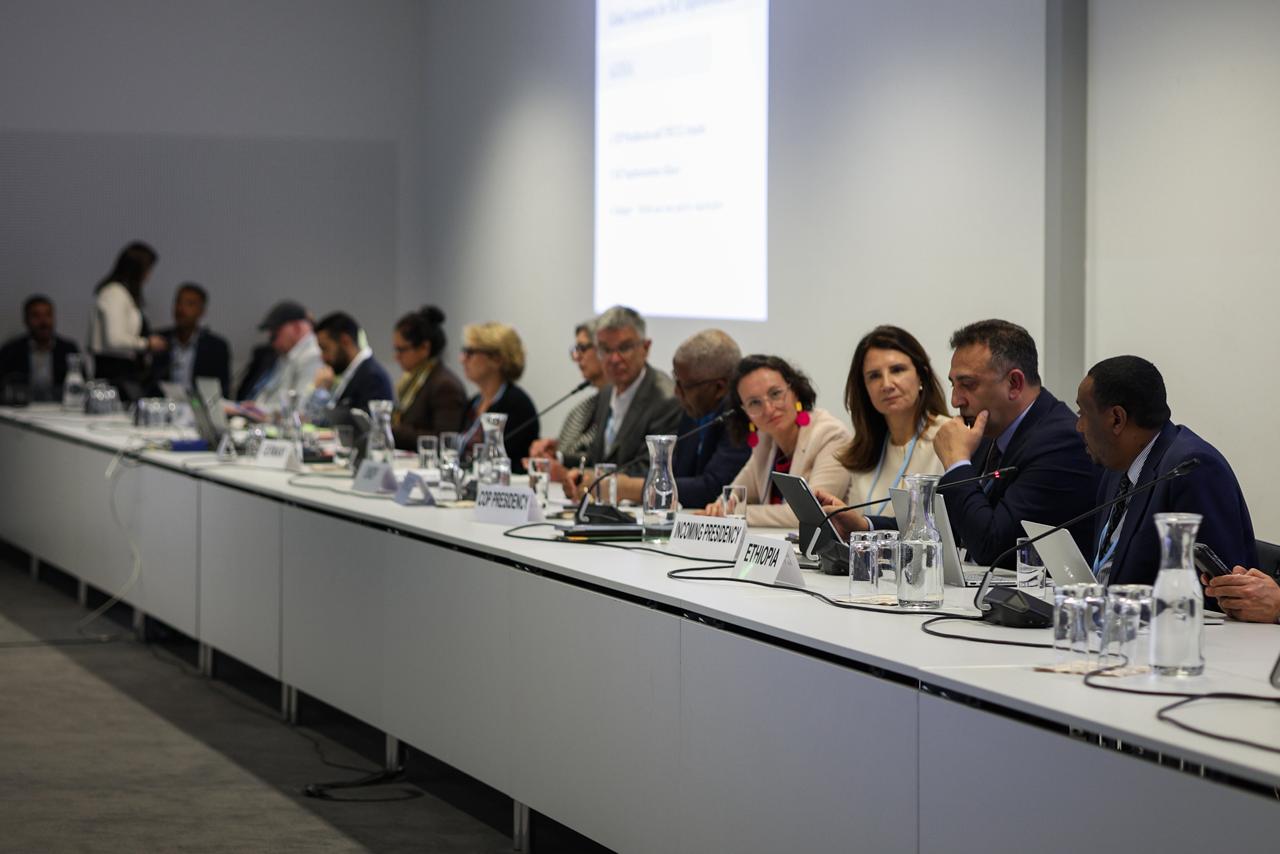 The Alliance will function as an international platform for political and technical coordination around National Adaptation Plans — Photo: Ana Rosa Alves/COP30