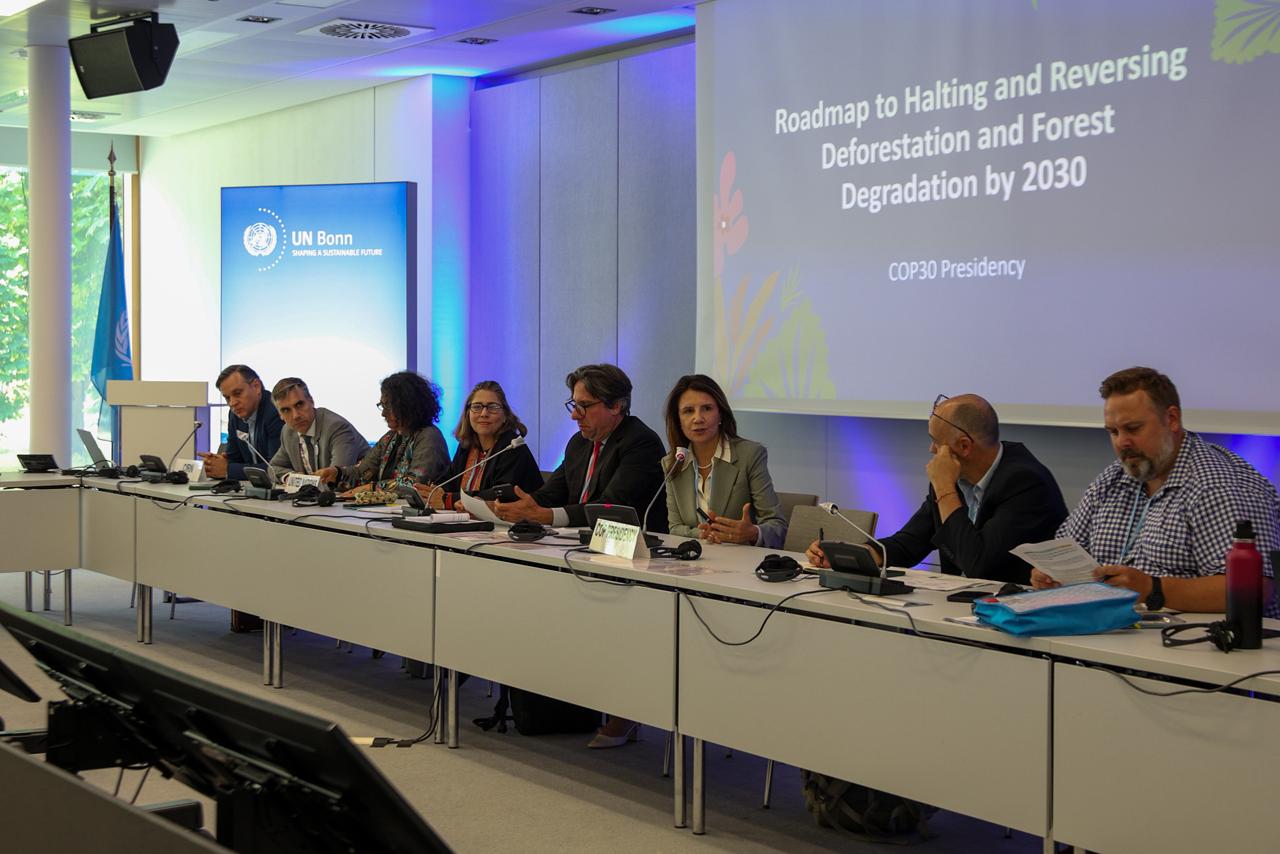 Credit: Ana Rosa Alves/COP30