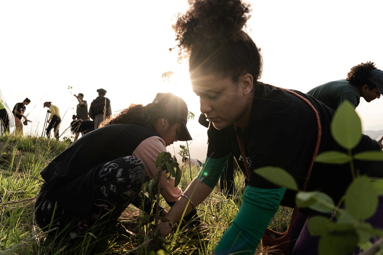 A total of 60 native Atlantic Forest seedlings were planted, including aroeira, paineira, ipê-amarelo, pau-ferro, cajá-mirim, urucum, and mulungu. Image: Rafael Medelima/COP30