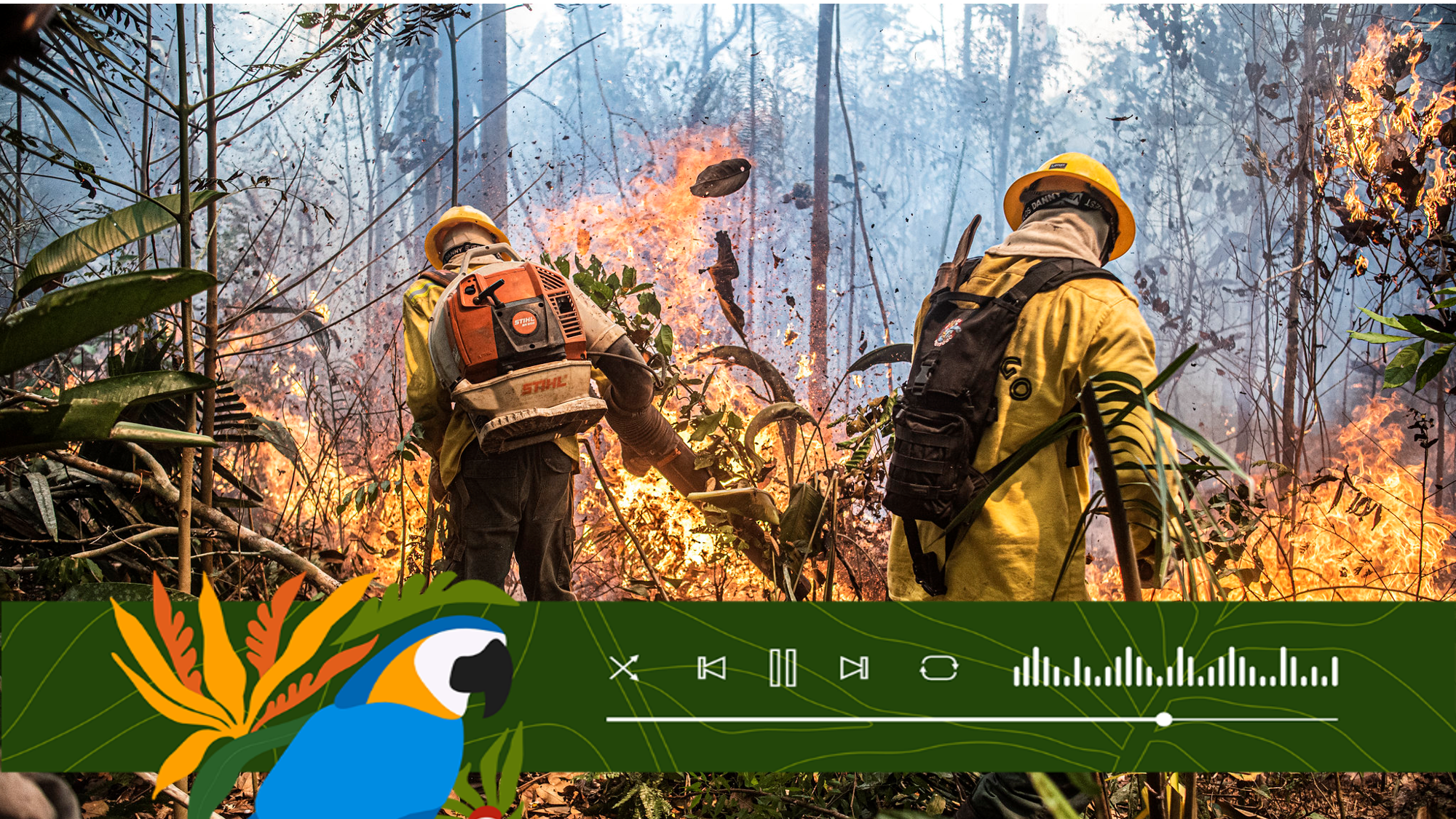 Hiring of firefighters reached a historic level this year, following the dramatic scenario of 2024. Ibama and ICMBio are already carrying out controlled burns in areas near Belém (PA). — Photo: Mayangdi Inzaulgarat/Ibama