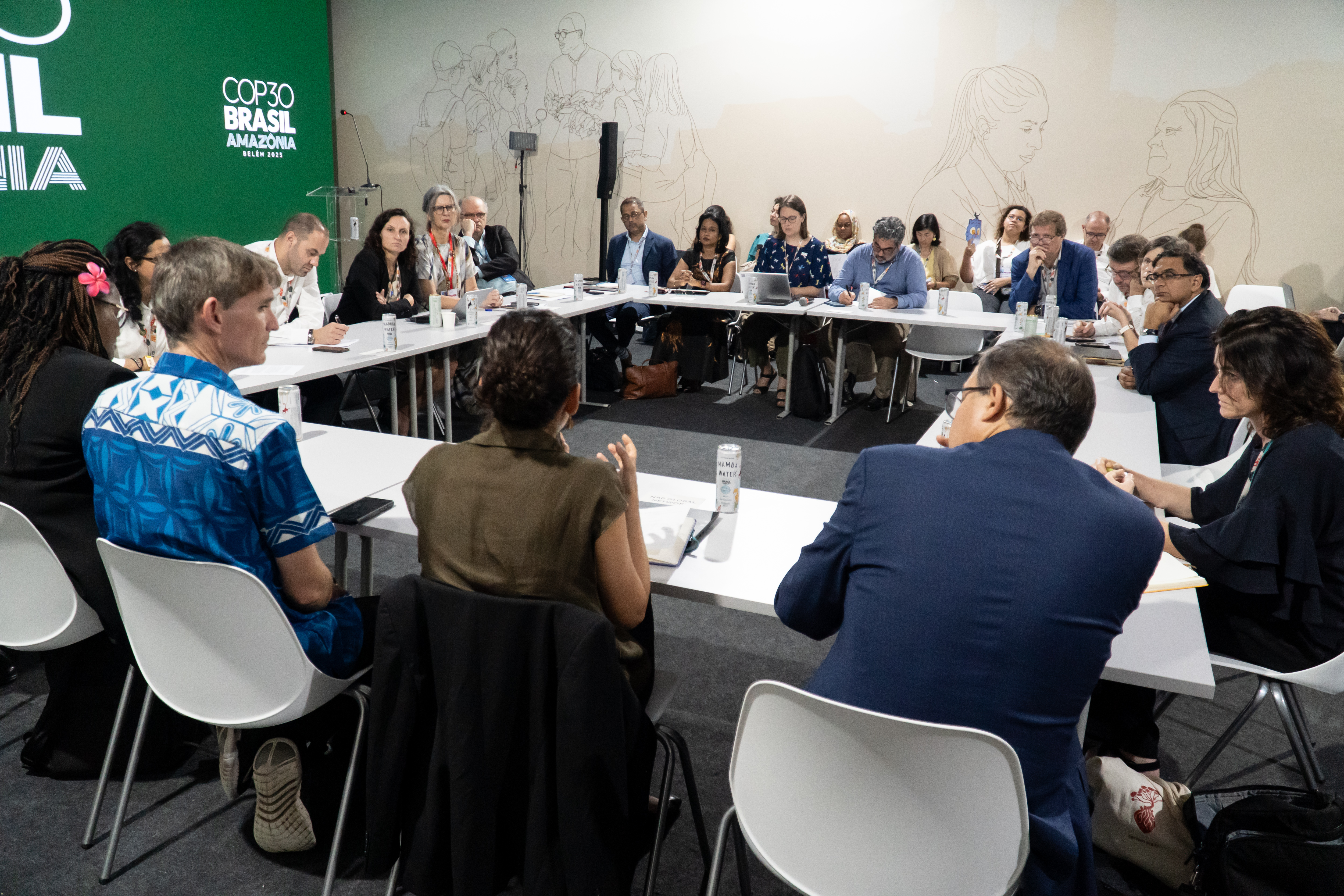 The event gathered representatives of governments, multilateral development banks, investment funds, civil society organizations, and the private sector. Photo: Carlos Tavares/COP30