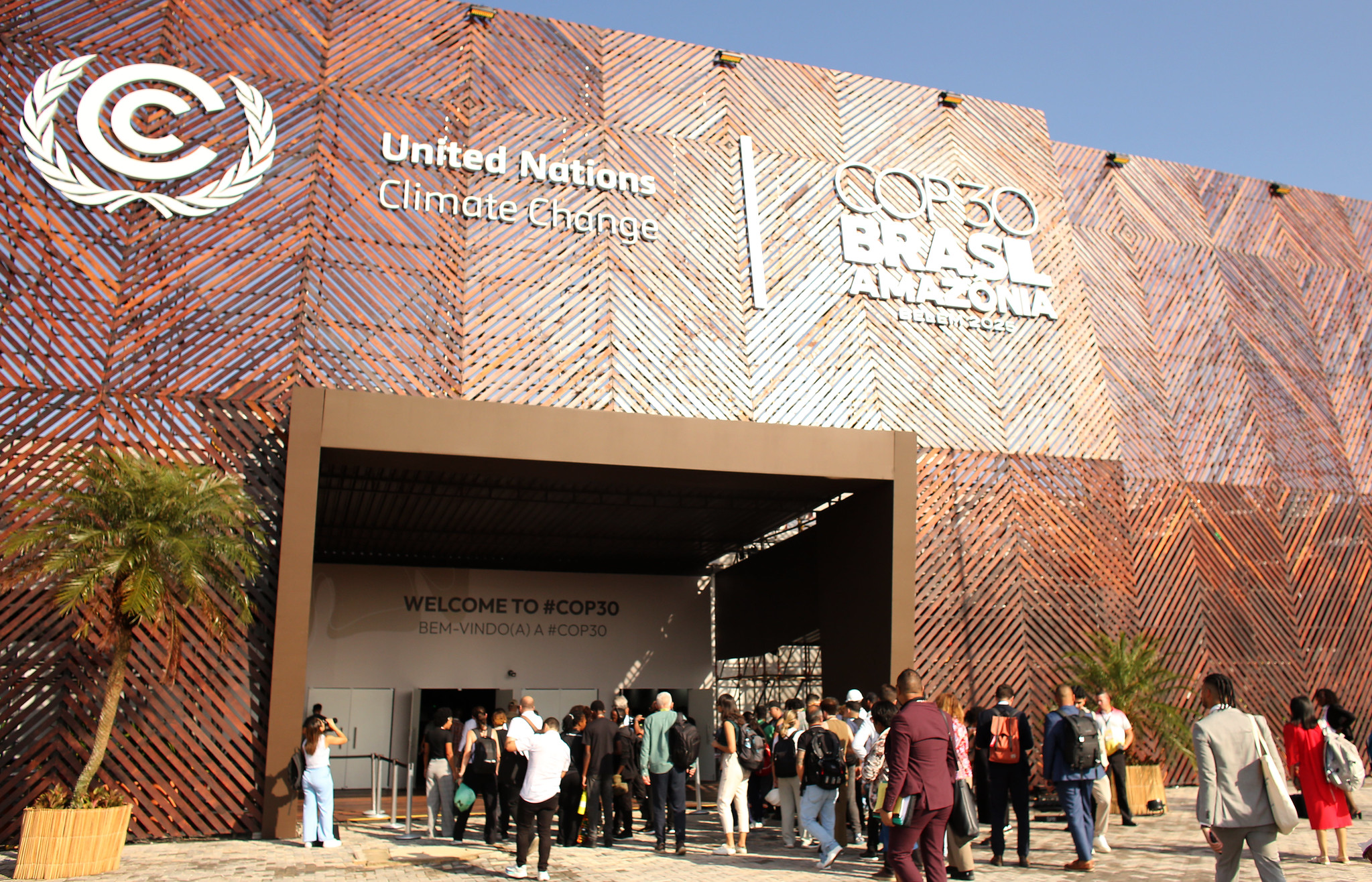Belém was transformed into a hub of social participation with the intense activity at COP30. Photo: Raimundo Pacco/COP30