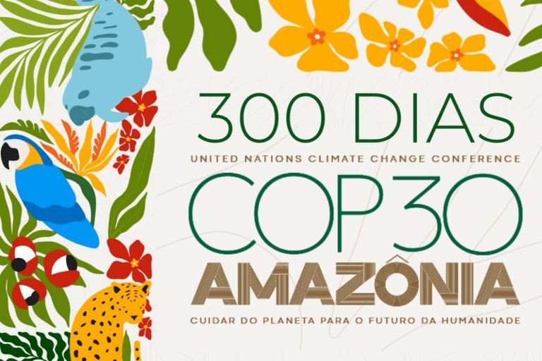 Art 300 days to the COP30