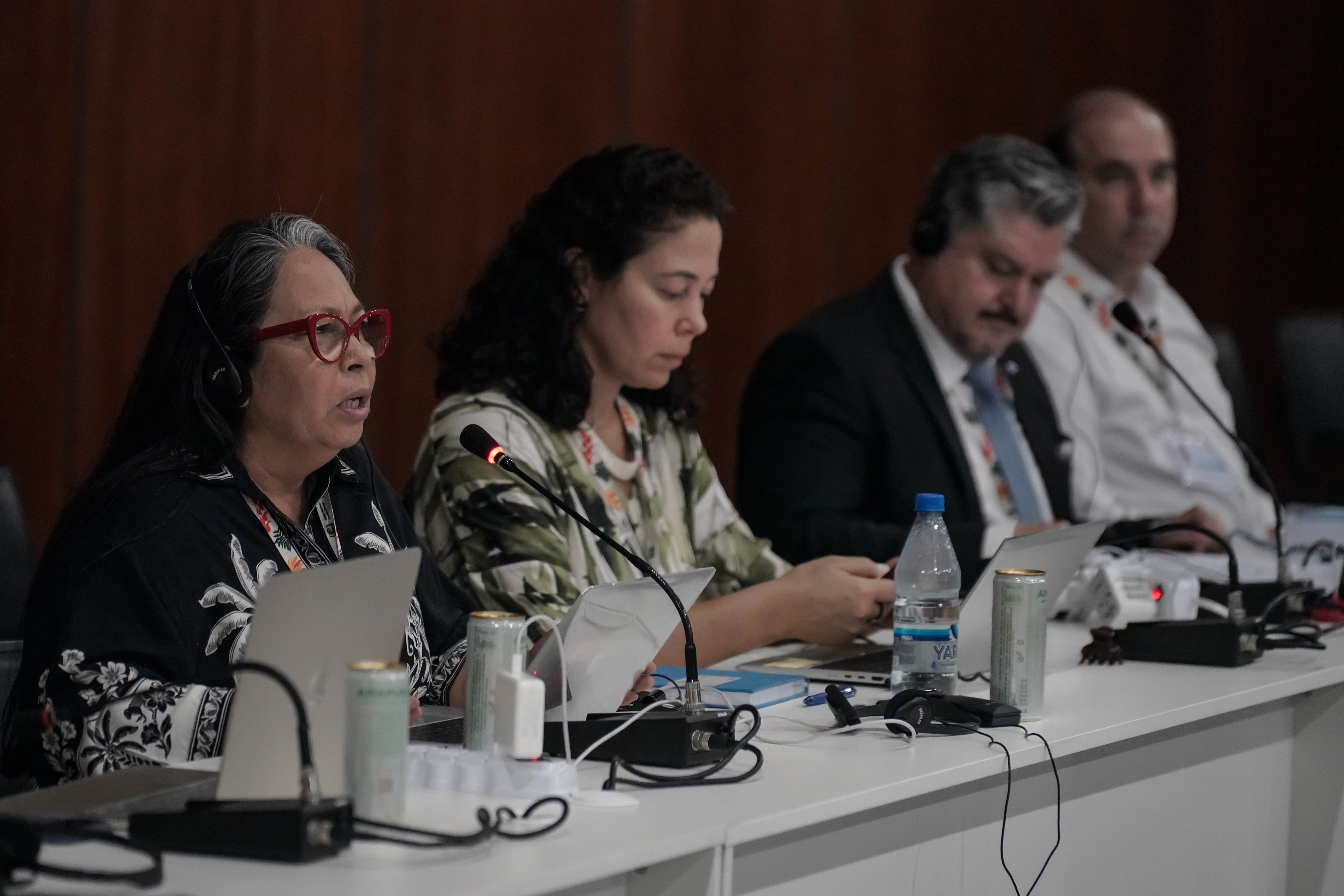 The Special Envoy presented effective adaptation experiences. Image: Rafael Neddermeyer/COP30