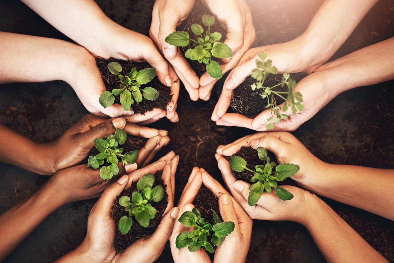 The tool is expected to foster active participation by society, in line with the spirit of collective effort proposed by the Brazilian presidency of the conference. Photo: Getty Images