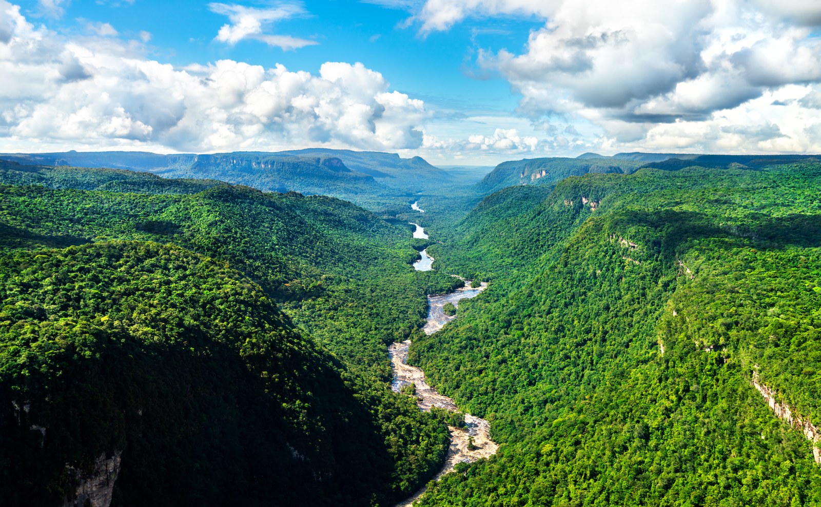 Brazil is home to the world's largest tropical forest areas, including the Amazon and the Atlantic Forest. Image: Getty Images