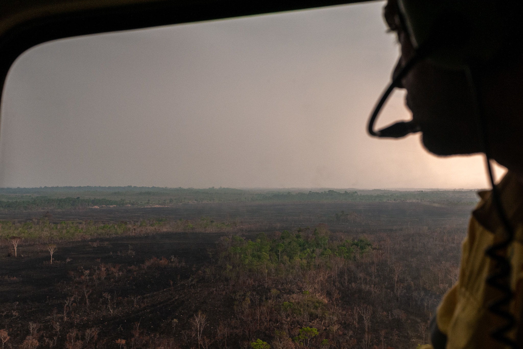 Foto: Vinícius Mendonça/Ibama