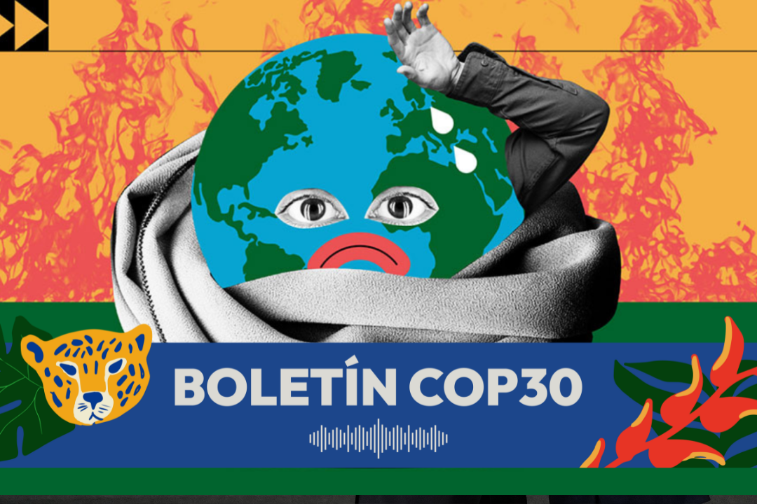 De Pará al Planalto Central, de las comunidades ribereñas a las grandes ciudades, Brasil se calienta, pero también reacciona. Las iniciativas muestran que enfrentar el calor extremo en Brasil exige más que adaptación: exige un Mutirão, colaboración, conocimiento y coraje para transformar el futuro. Imagen: ONU