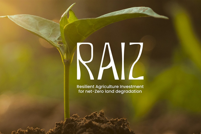 Esta acción responde a la creciente demanda global por seguridad alimentaria y por la preservación de los ecosistemas productivos. Foto: Reproducción/MAPA