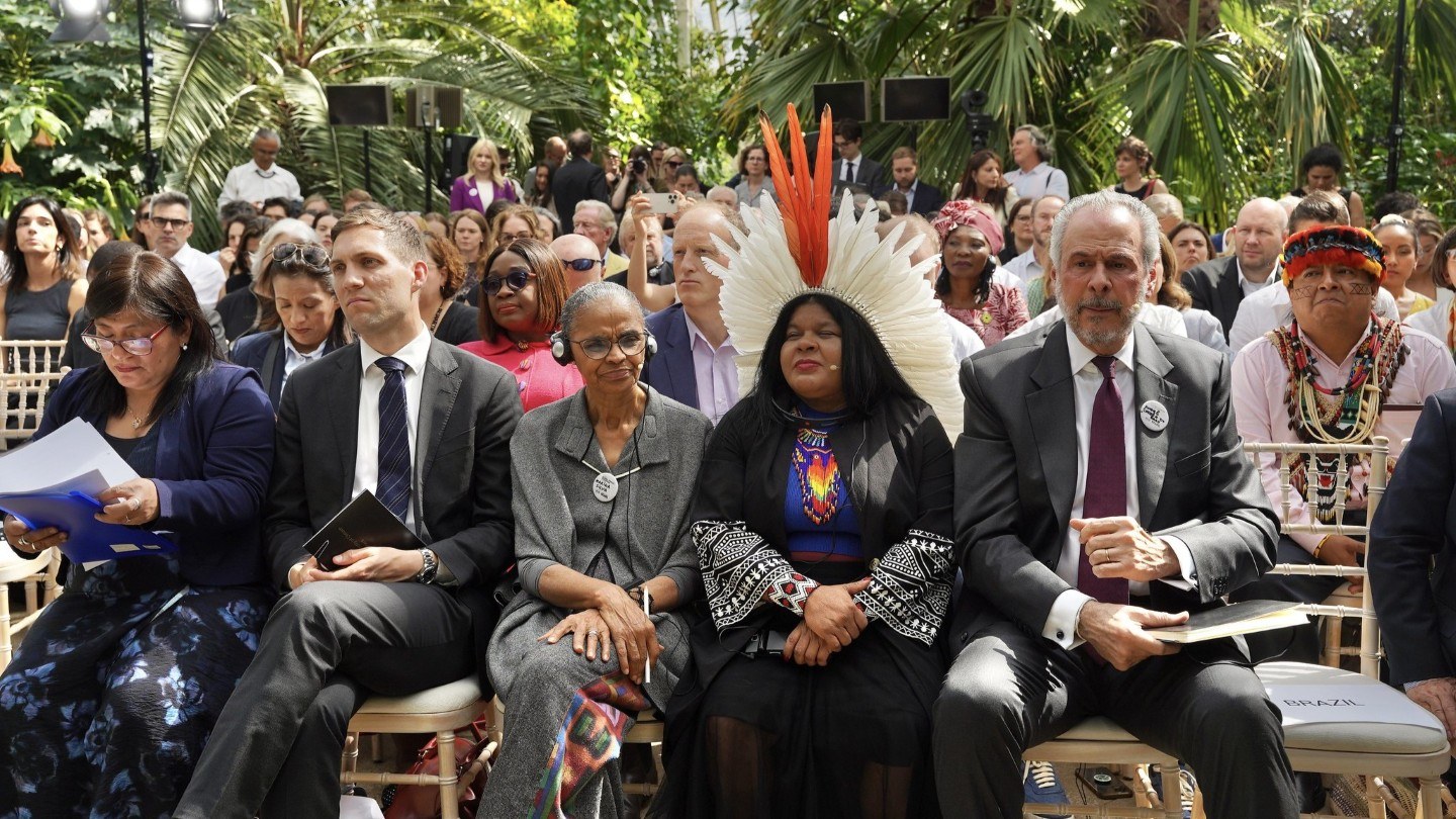 El fondo es un mecanismo innovador que busca proporcionar pagos a gran escala, predecibles y basados en resultados a países con bosques tropicales — Foto: Fernando Donasci / MMA
