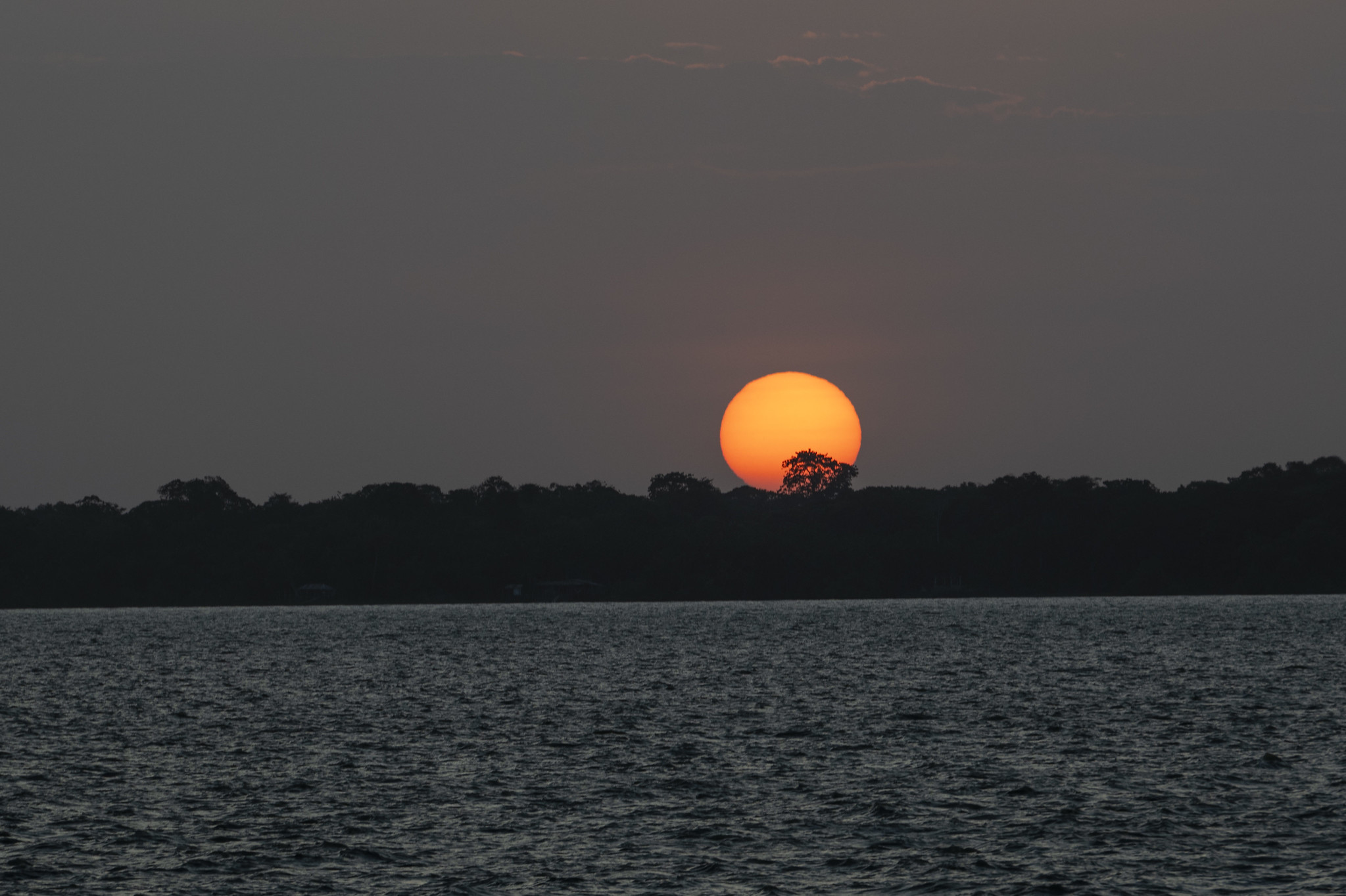 Pôr do sol sobre a Floresta Amazônica reforça o alerta do webinar: transformar compromissos climáticos em ação concreta é urgente para proteger ecossistemas e garantir um futuro sustentável. Foto: Alex Ferro/COP30