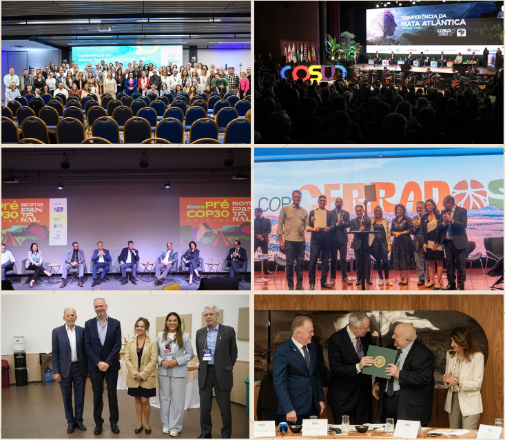 Fotos: : Igor de Almeida/Ascom Sema; Divulgação; Presidência da COP30; Divulgação; Divulgação; Foto: Rafael Medelima/COP30