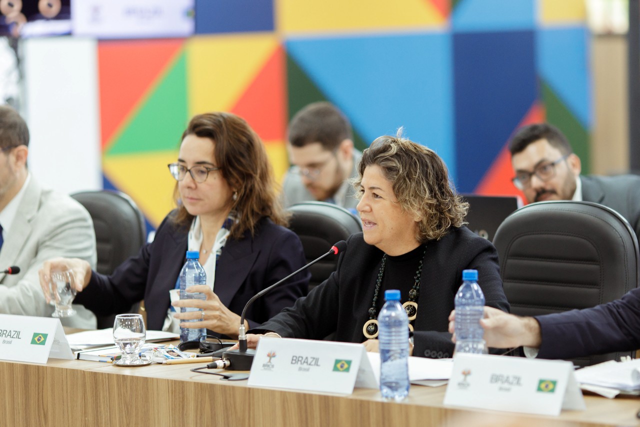 embaixadora Liliam Chagas, diretora de Clima do Itamaraty, também celebrou avanços na cooperação intelectual e científica entre os países para frear a mudança do clima