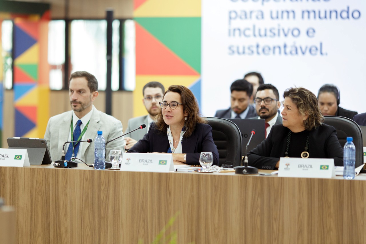 Embaixadora Tatiana Rosito, do Ministério da Fazenda, apontou que o documento aprovado no BRICS é insumo para o desenvolvimento do Road Map Baku-Belém da COP30