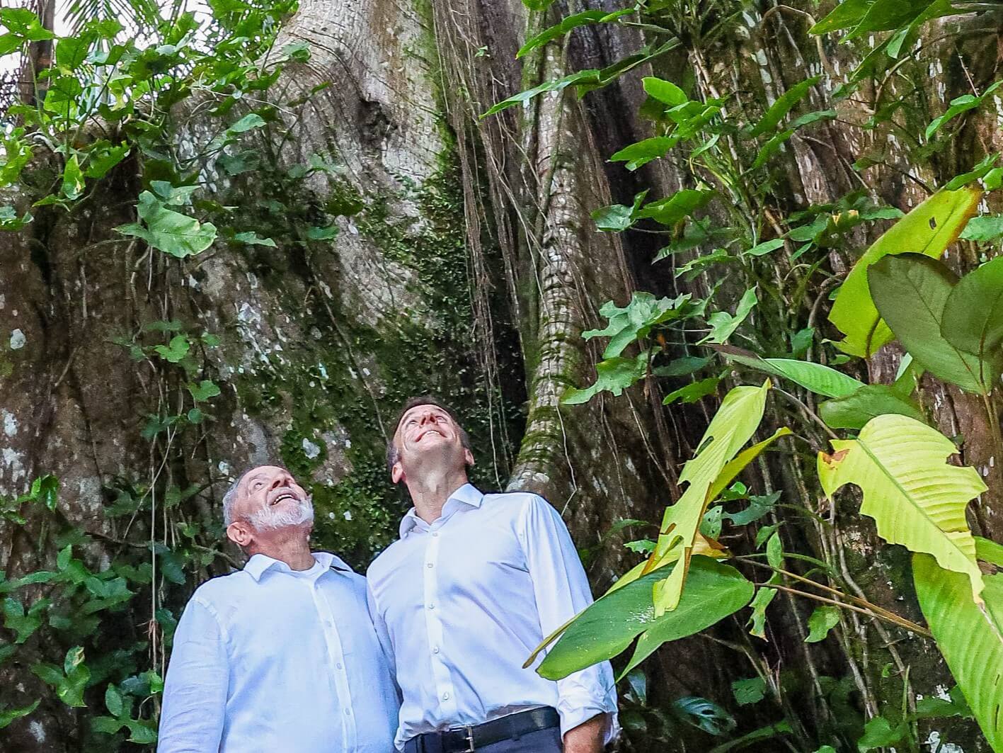 (Lula e Macron): Both presidents are photographed together next to a Sumaúma tree, which is located on Dona Nena's lot. Image: Ricardo Stuckert/PR