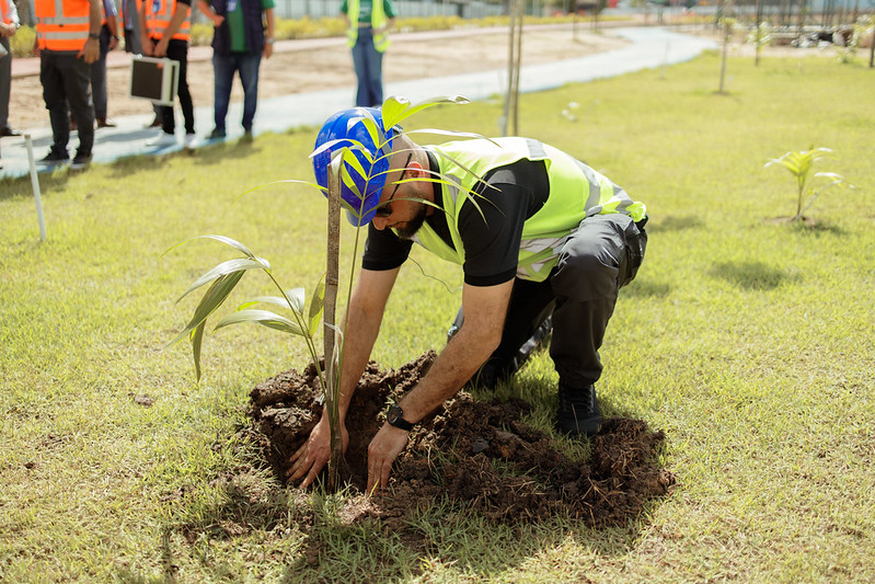 Khalid Magzoub, da UNFCCC, planta muda de açaí, fruta típica da região Amazônica no Parque da Cidade, que vai abrigar a Vila COP30 | Foto: Isabela Castilho/COP30 Amazônia