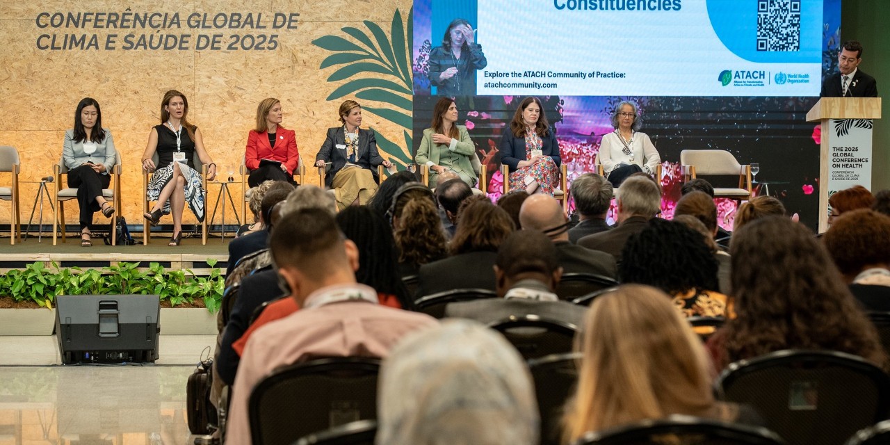 Country representatives discuss shared strategies to combat climate-induced diseases. — Image: Zeca Miranda / SVSA/MS