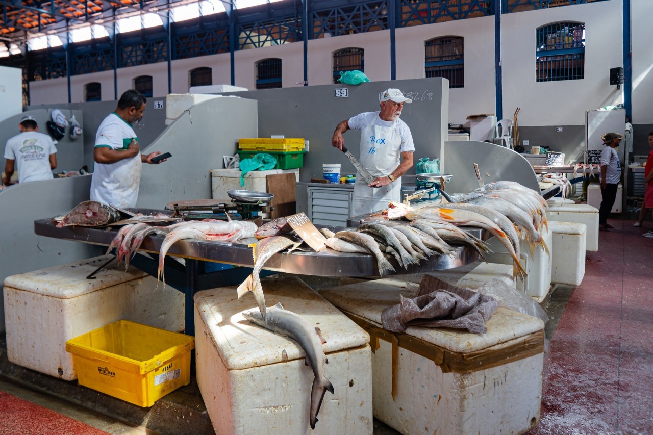 Mercado do Peixe está mais moderno e com melhores condições de higiene — Foto: Rafael Medelima