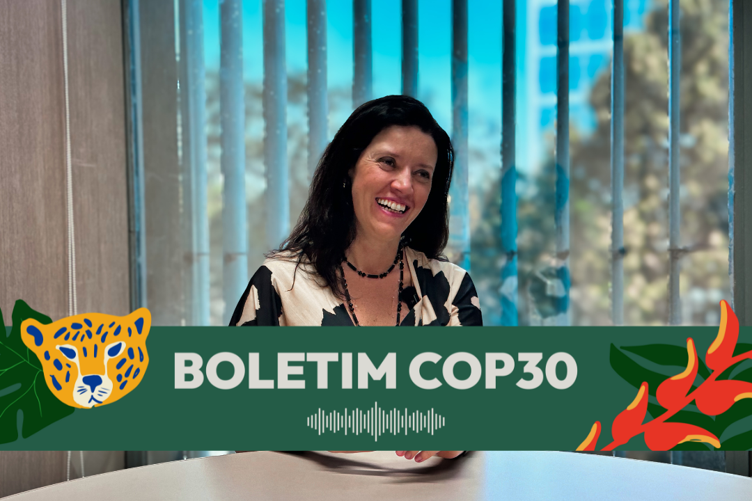 A subsecretária Cristina Reis destaca que a Coalizão Aberta busca unir esforços globais para reduzir emissões e acelerar a descarbonização. Foto: Gabriel Della Giustina / COP30 Brasil
