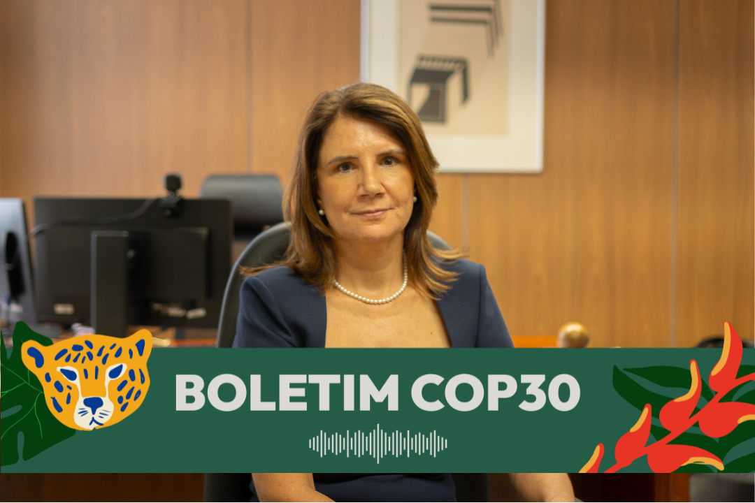 Em mensagem, CEO Ana Toni diz: “se queremos contribuir para reduzir os efeitos da mudança do clima, precisamos agir com consciência”. Foto: Marina Pontes/COP30