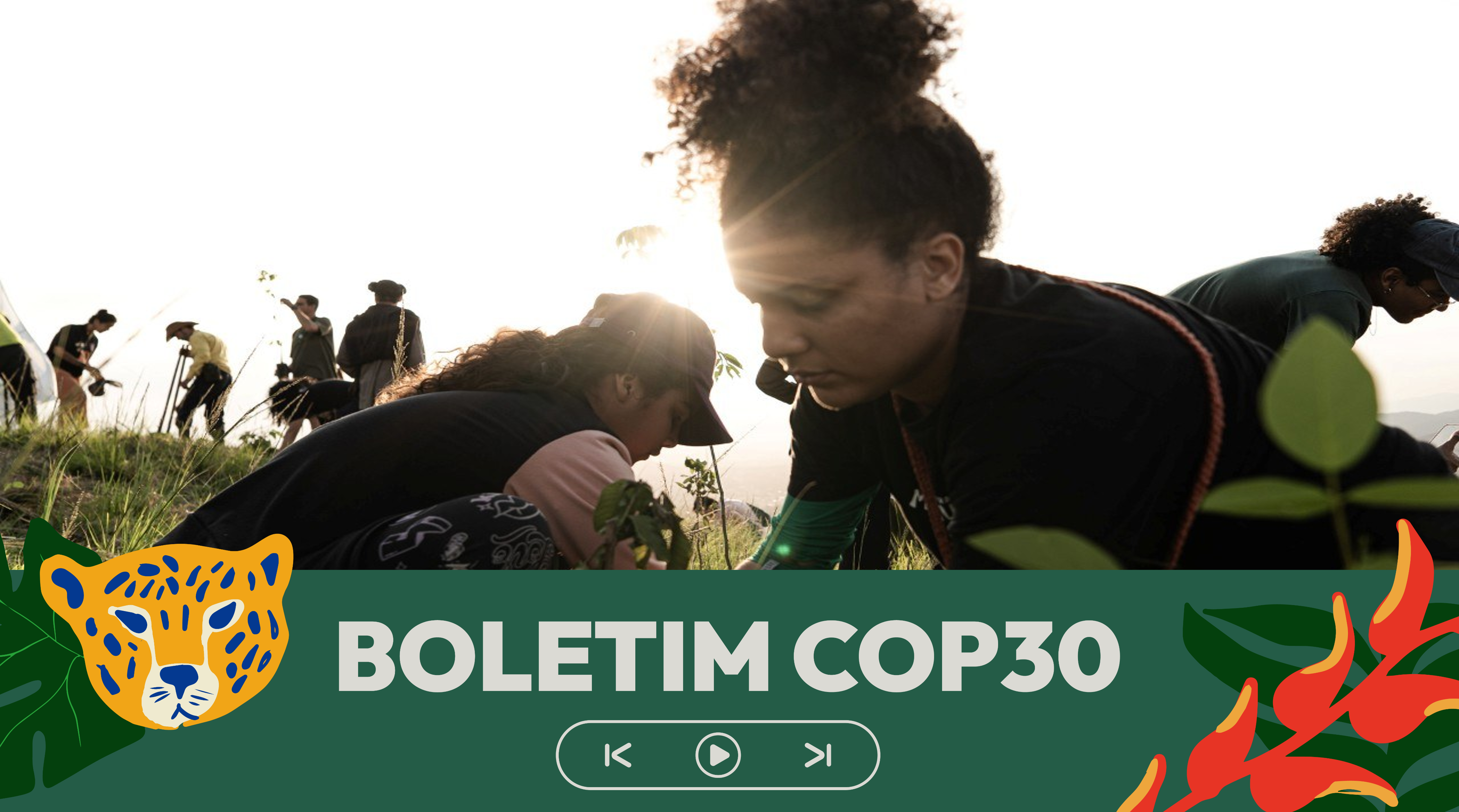 Ao todo foram plantadas 60 mudas nativas de Mata Atlântica, entre elas aroeira, paineira, ipê-amarelo, pau-ferro, cajá-mirim, urucum e mulungu. Foto: Rafael Medelima/COP30