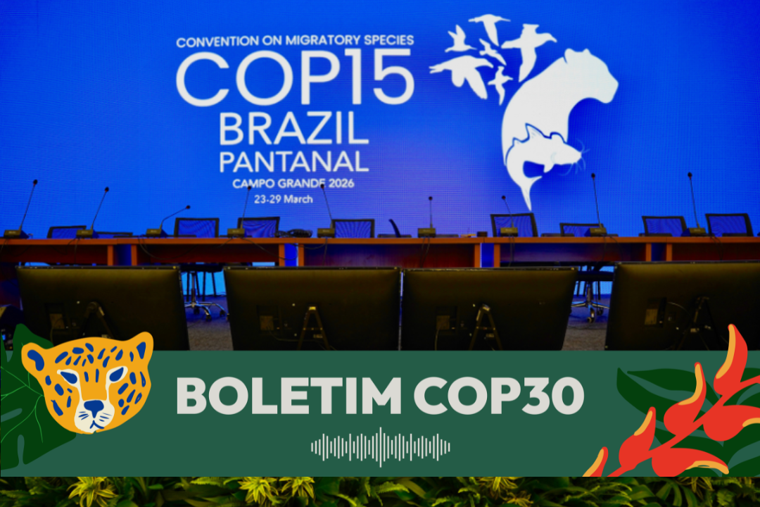 COP15 reúne eventos e debates globais para proteger espécies migratórias ameaçadas - Foto: Rogério Cassimiro/MMA