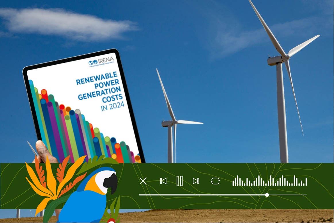 Os custos totais instalados para energia renovável diminuíram mais de 10% para todas as tecnologias entre 2023 e 2024. Foto: Divulgação