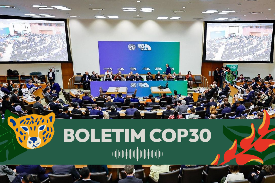 Presidente da República do Brasil, Luiz Inácio Lula da Silva, durante a abertura do Debate Geral da 80ª Sessão Ordinária da Assembleia Geral das Nações Unidas, em Nova York (EUA)  - Foto: Ricardo Stuckert / PR