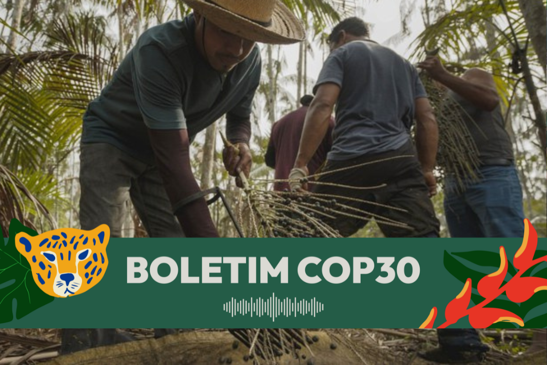 Programa Florestas Produtivas propõe dar resposta a grandes desafios do país, seja o aumento da oferta de alimentos, o aumento da geração de renda para as famílias rurais. Foto: Reprodução/Incra