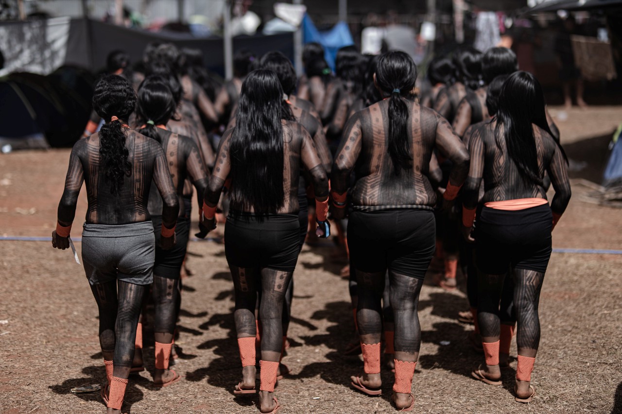 A Comissão Internacional de Povos Indígenas lidera o movimento por mais indígenas na COP30 e organiza a “Aldeia COP” para recebê-los — Foto: Rafael Medelima / COP30