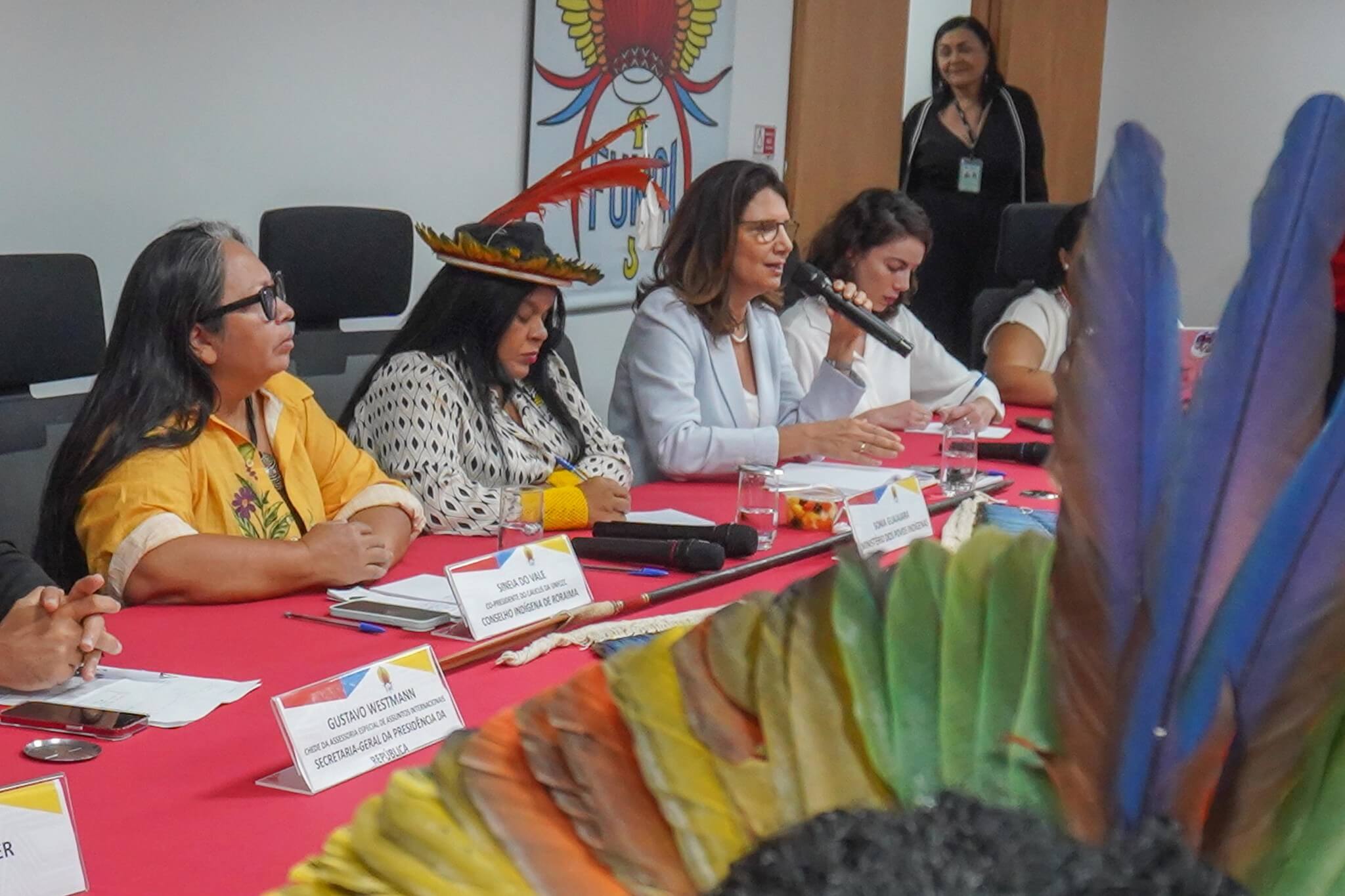 Hearing occurred during a meeting of the Steering Committee of the National Policy for Territorial and Environmental Management of Indigenous Lands (PNGATI) | Photo: Rogerio Cassimiro/MMA