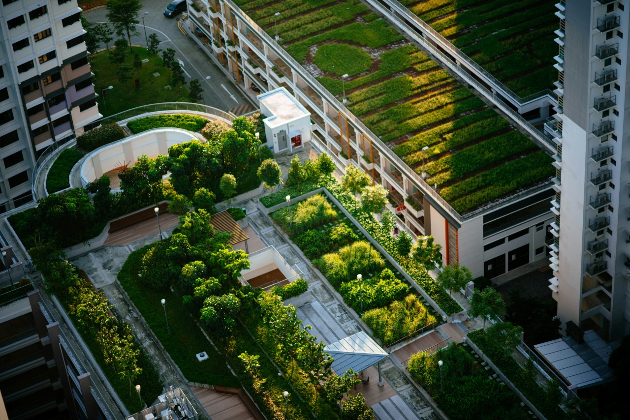 A Agenda de Ação é um dos pilares da COP30 e colabora para o espírito de Mutirão Global pelo Clima - Foto: Banco de Imagem/Unsplash
