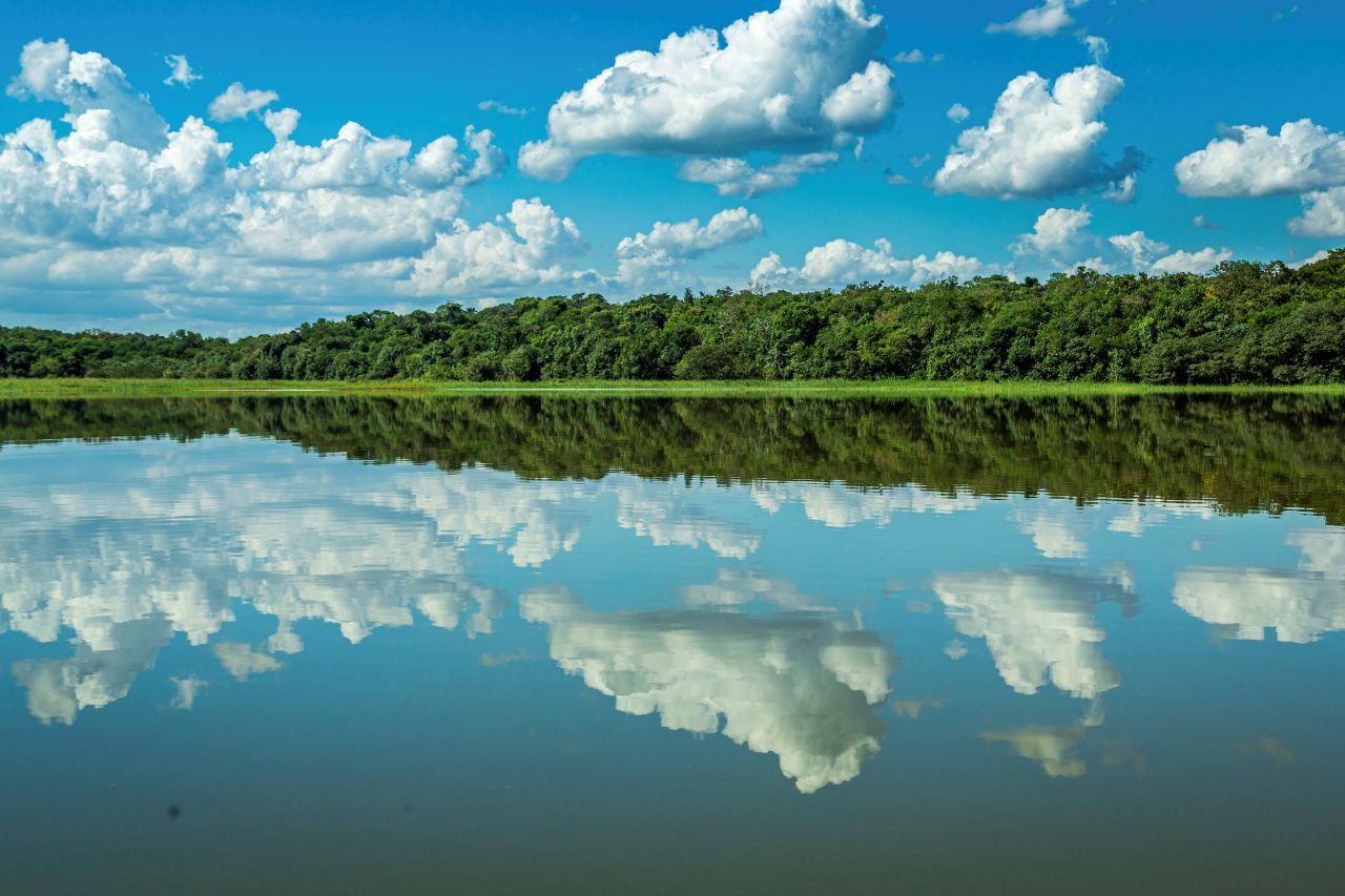 The reservoir’s protection strip extends 2,900 kilometers in Brazil and Paraguay, averaging 208 meters in width. Photo: Edino Krug/Itaipu Binacional 