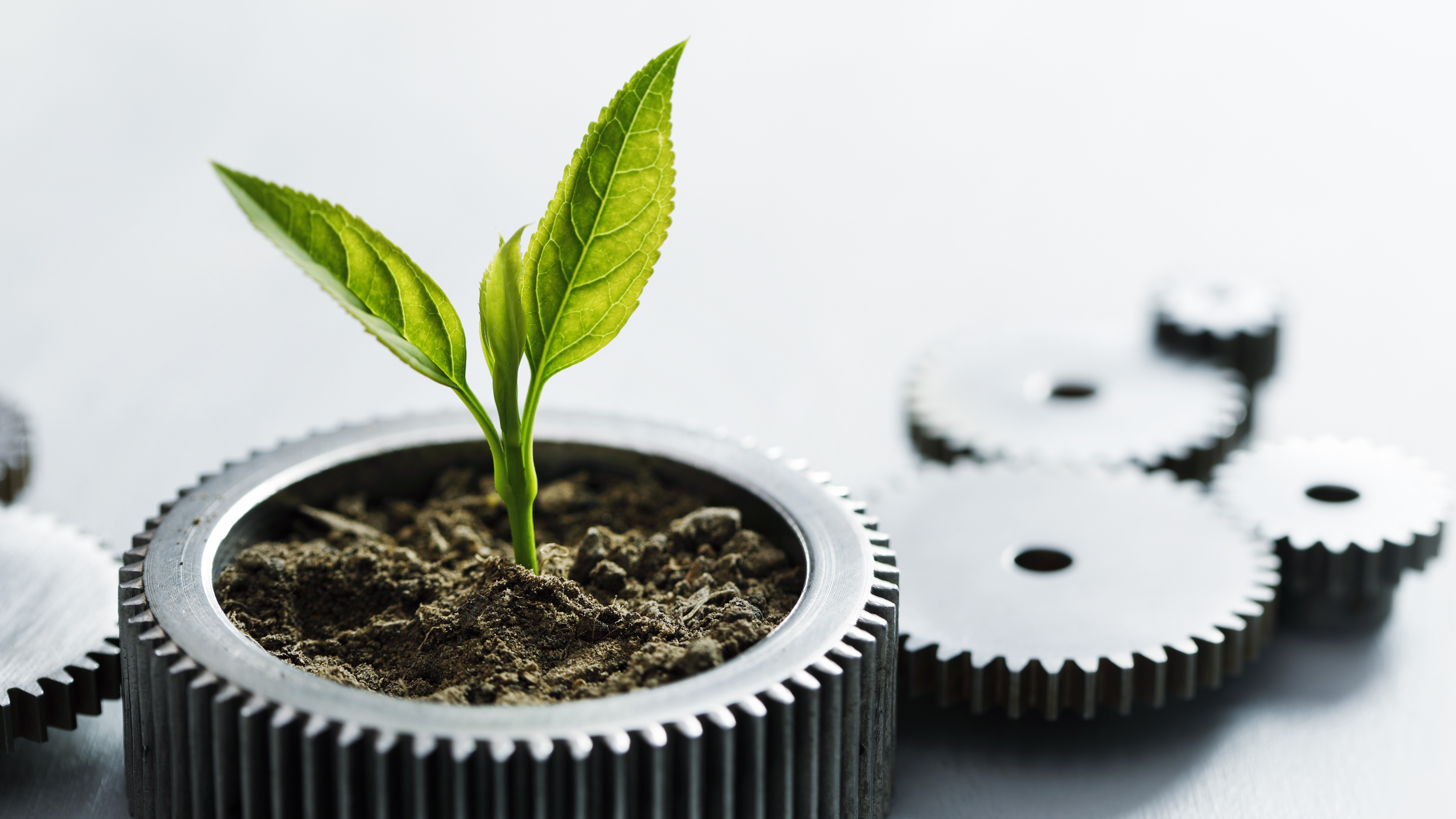 Iniciativa avança na agenda de ação e fortalece liderança das nações para o Financiamento do Clima e Desenvolvimento. Foto: Ivan Bajic/Getty Images