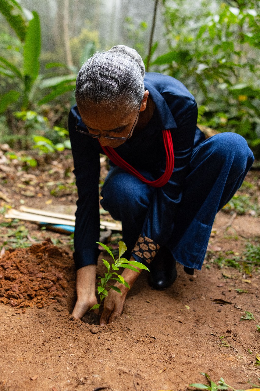 A ministra Marina Silva lidera pelo exemplo, plantando muda de árvore na primeira área ambiental protegida pelo Brasil, ainda no Império. Foto: Juan Ribeiro / SOS Mata Atlântica