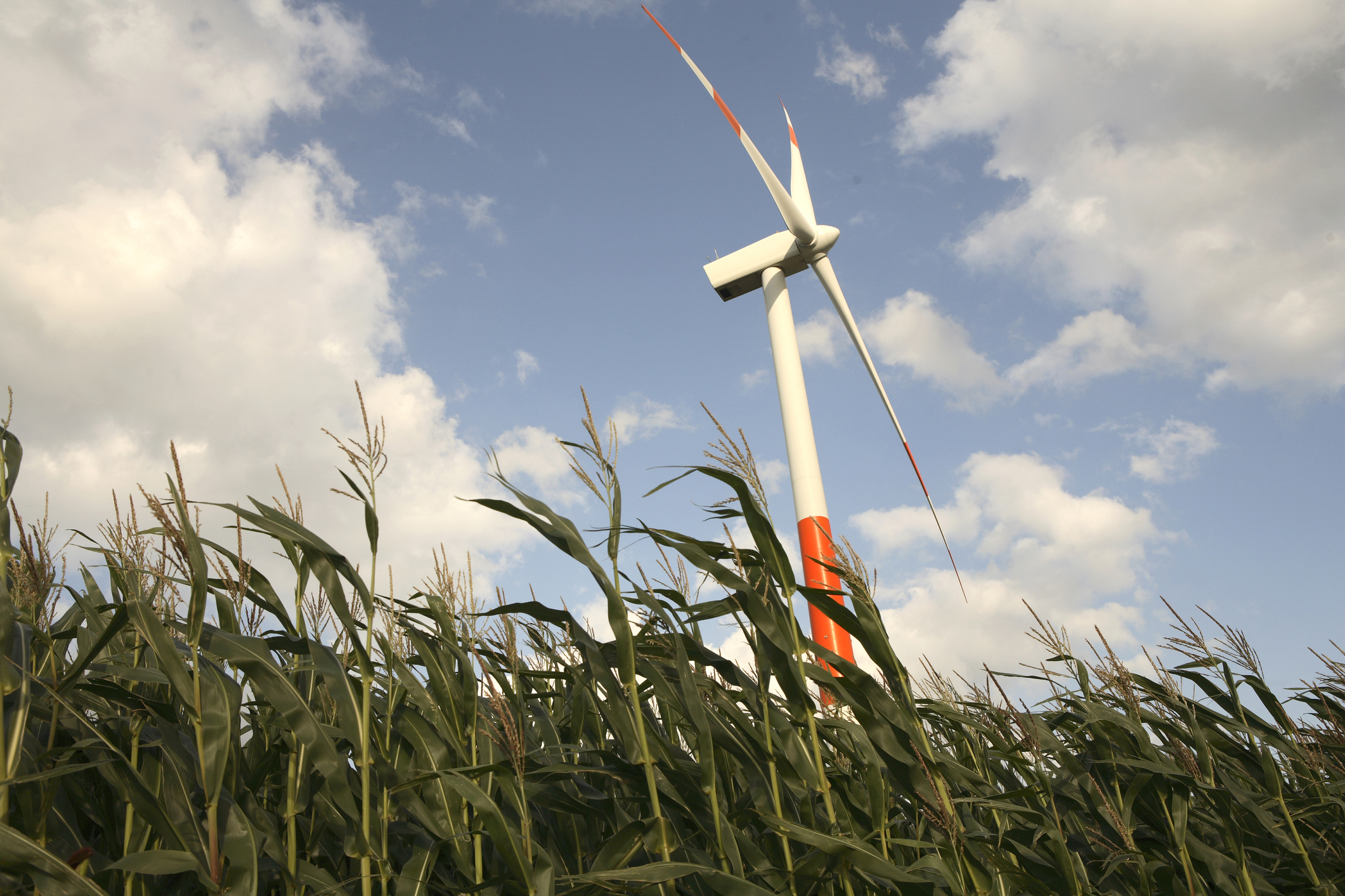 A transição energética está entre as medidas mais urgentes para evitar o aumento do aquecimento do planeta, segundo o GST - Foto: Getty Images